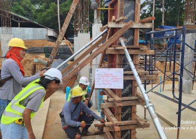 DDThai_Consult_Management